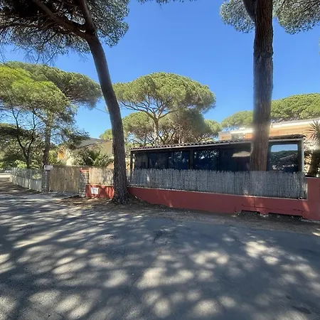 빌라 Au Port D'hyeres Avec Terrasse, Veranda Et Clim - Proche Plages Et Commerces - Fr-1-335-158